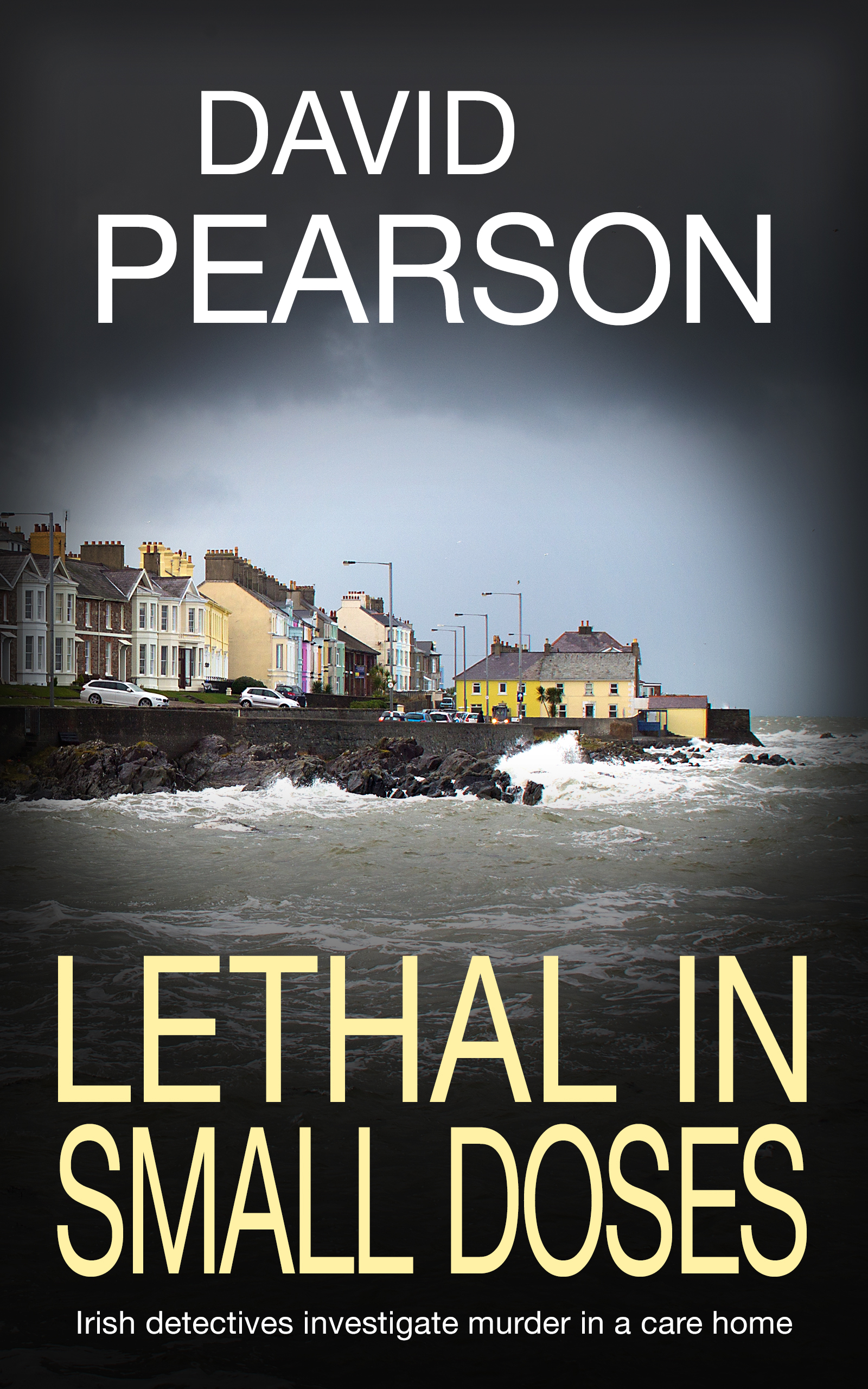 Lethal in Small Doses (The Dublin Homicides #4)