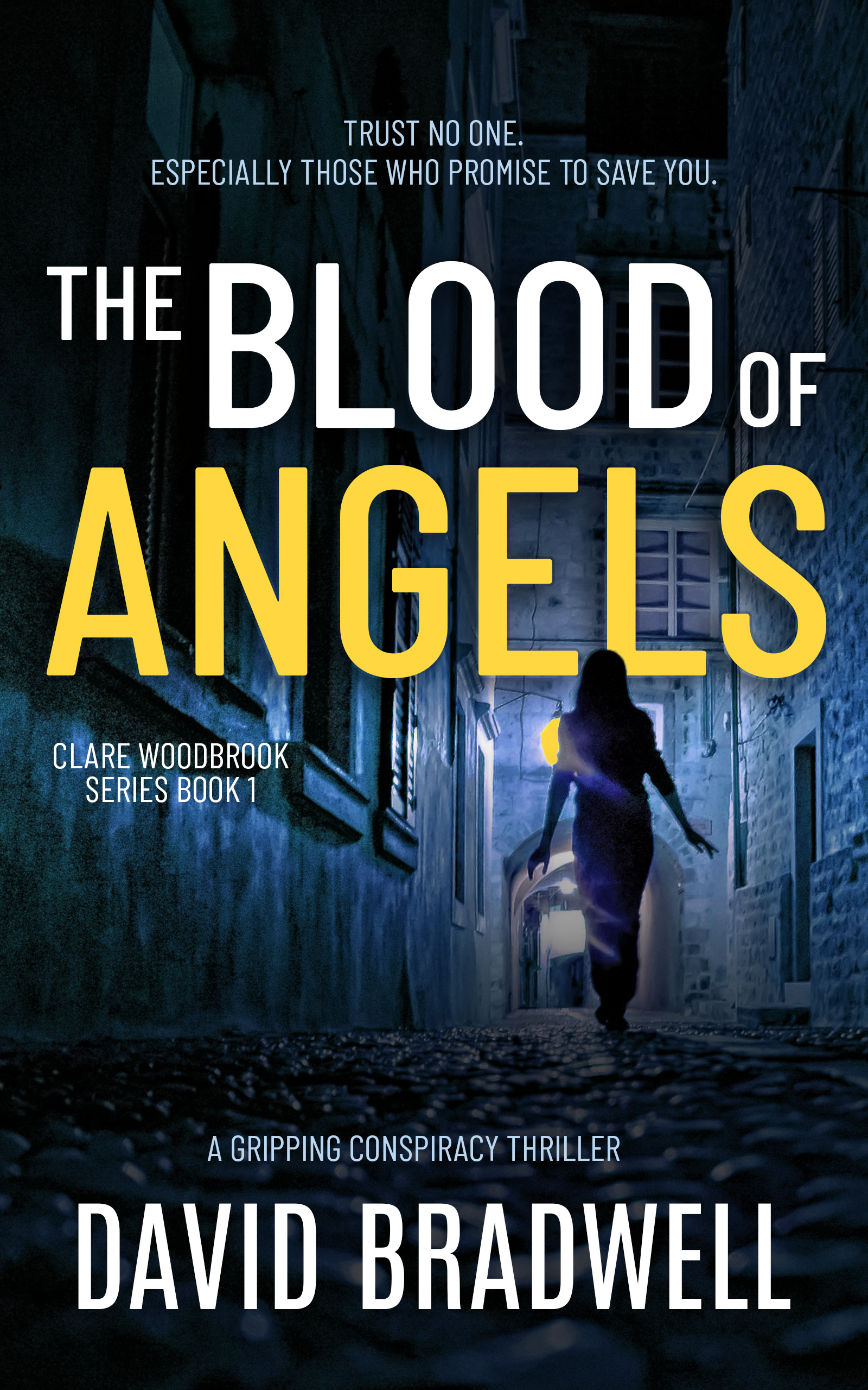 The Blood Of Angels (Clare Woodbrook, #1)