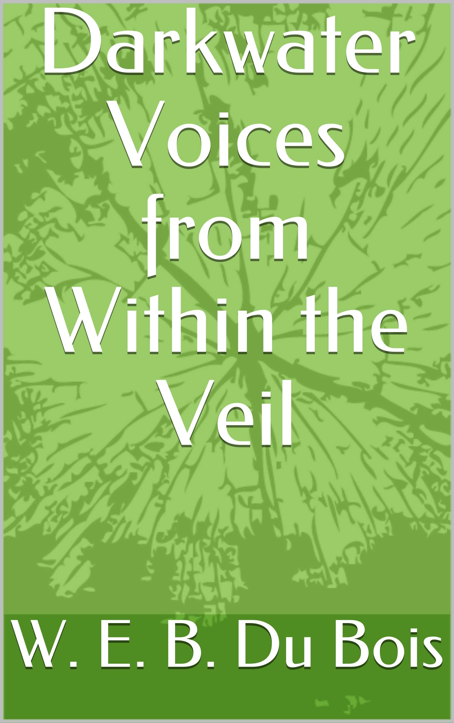 Darkwater Voices from Within the Veil