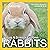 Rabbits (Nature & Science Book 8)