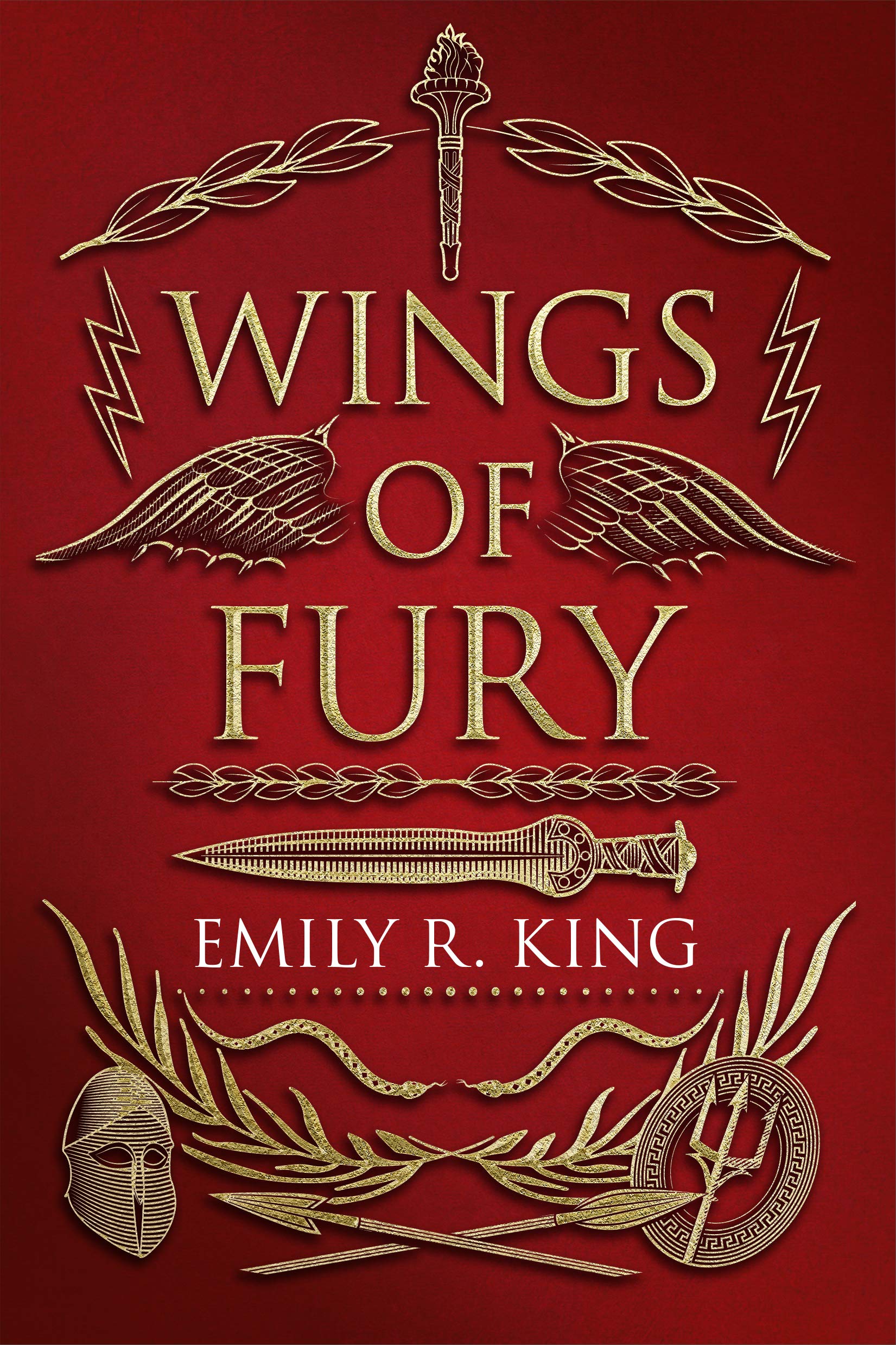 Wings of Fury (Wings of Fury, #1)