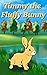 Timmy the Fluffy Bunny by Rebecca      Smith