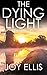 The Dying Light (DCI Matt B...