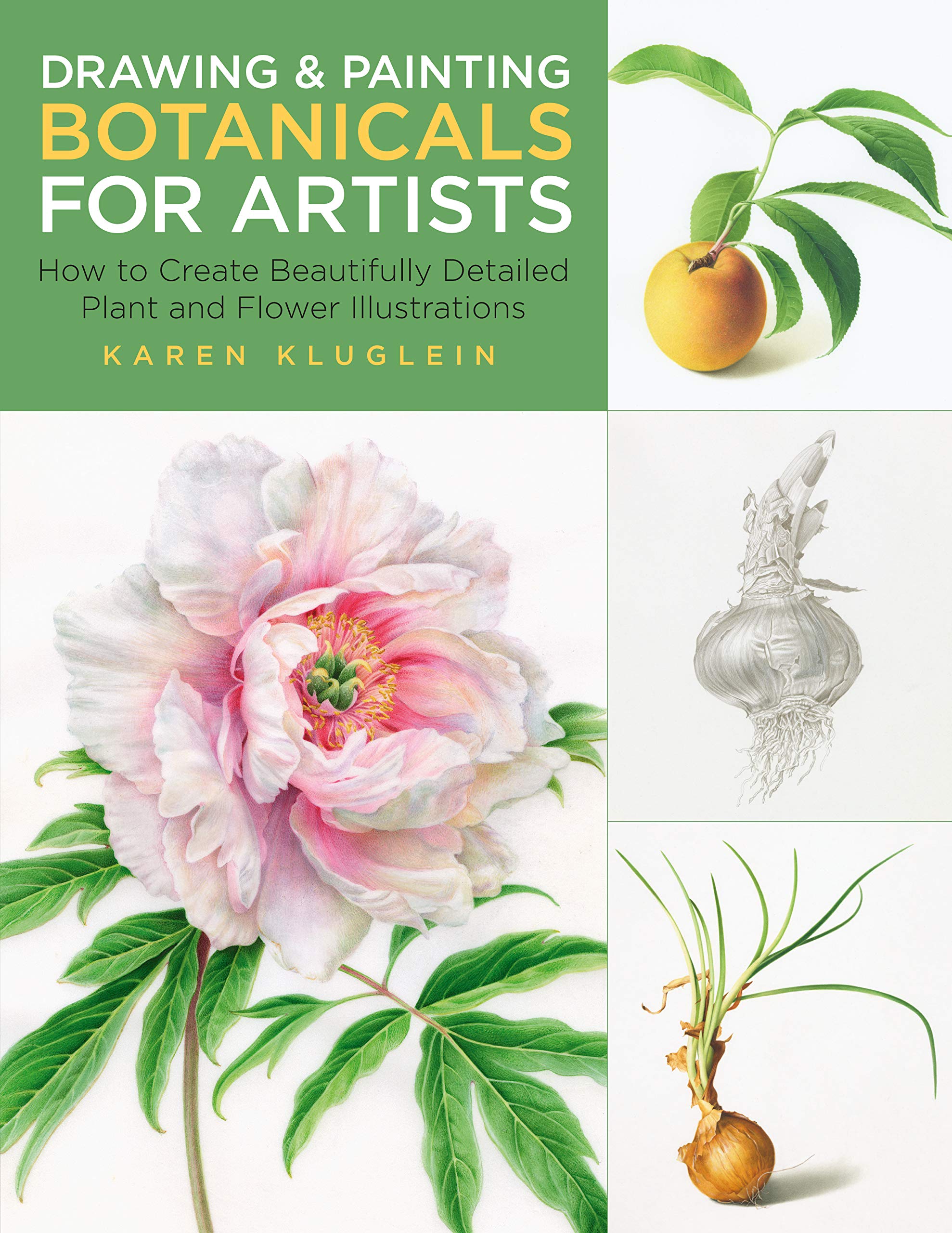 Drawing and Painting Botanicals for Artists: How to Create Beautifully Detailed Plant and Flower Illustrations (Kindle Edition)