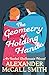 The Geometry of Holding Hands (Isabel Dalhousie #13)