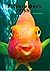 Picture Book Fish: A Pictur...