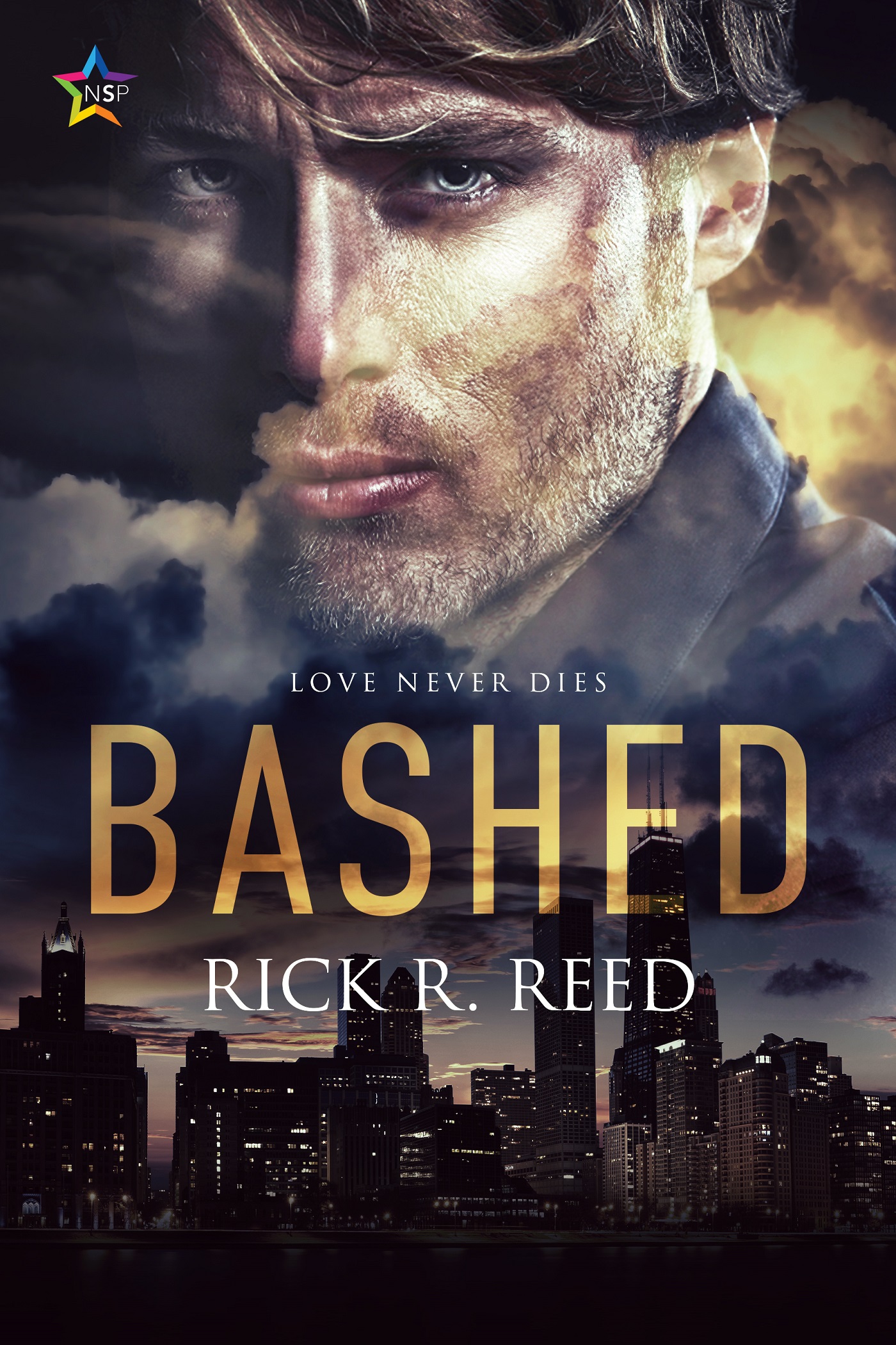Bashed (ebook)