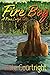 Fire Boy (Pine Lodge Tales #1)