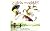 Hobbes: Vol 1 - FECE-5136 -...