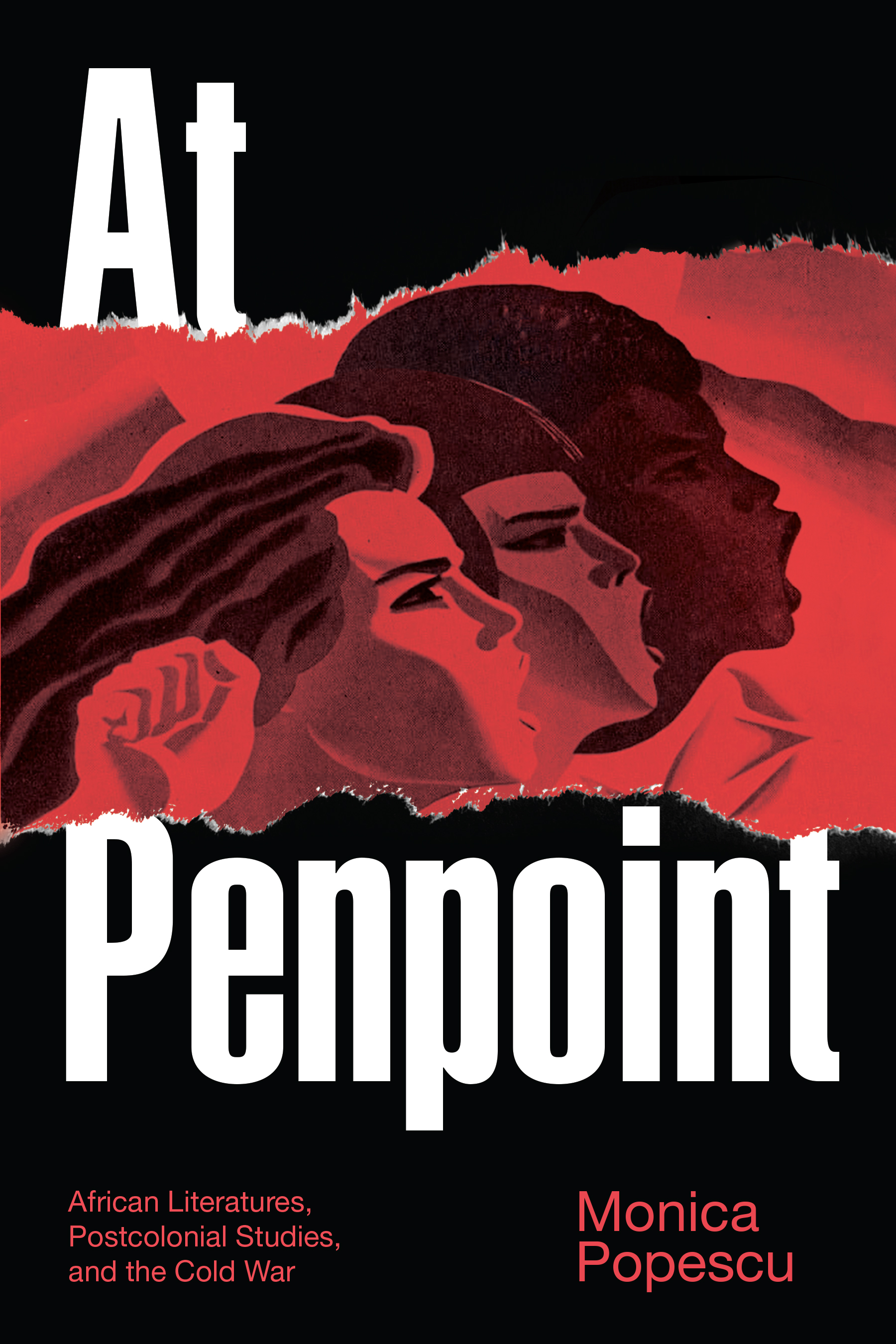 At Penpoint: African Literatures, Postcolonial Studies, and the Cold War (Theory in Forms)