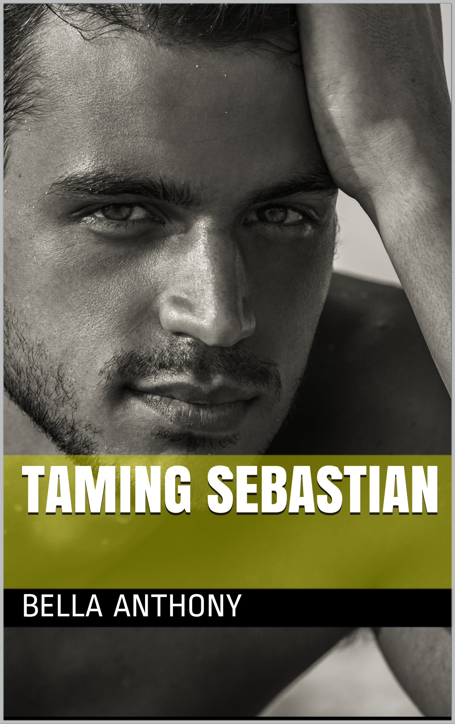 Taming Sebastian (Sawson's Royal College, #2)