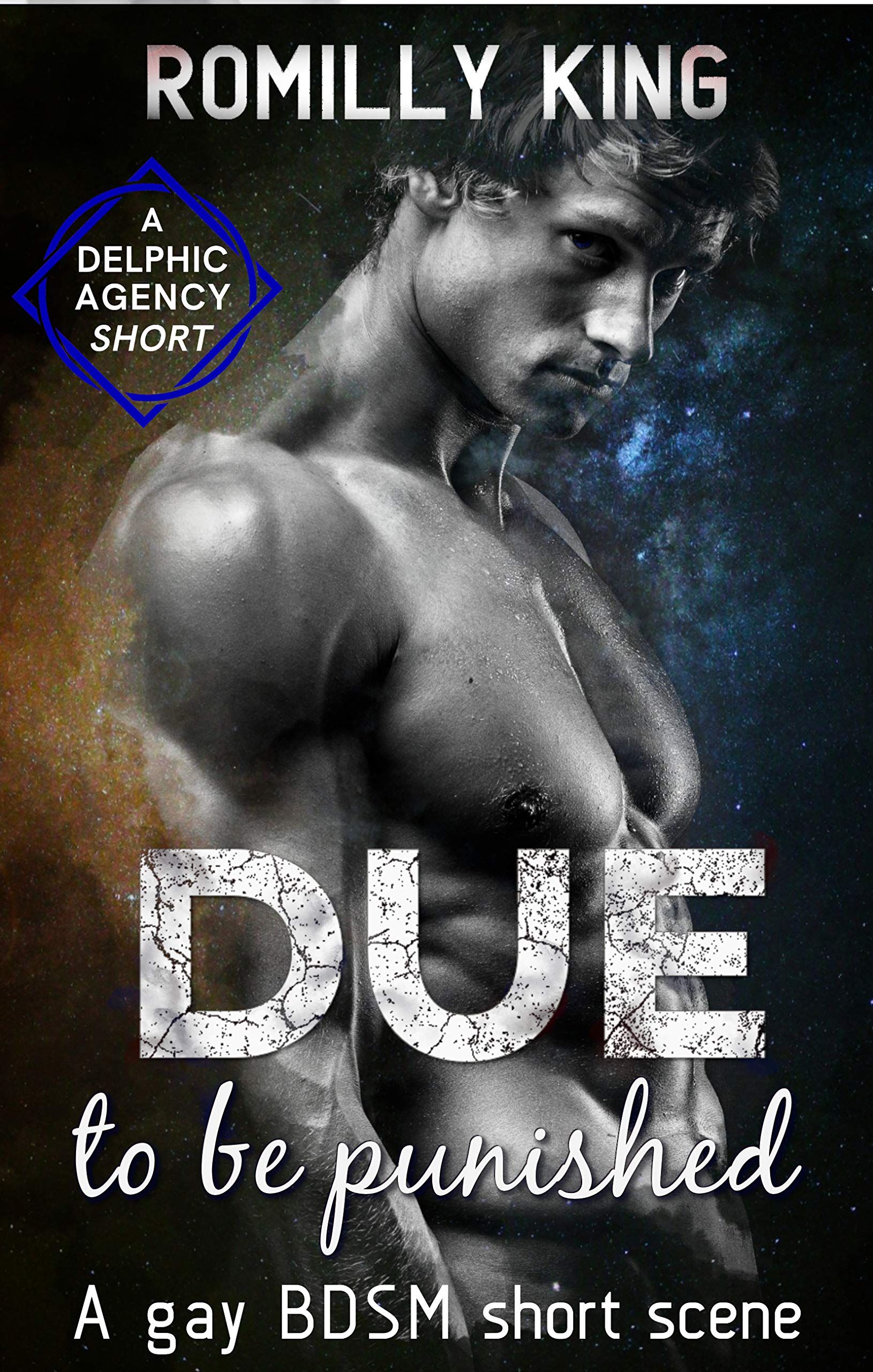 Due to Be Punished (Delphic Agency #2.5)