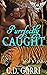 Purrfectly Caught (Paranormal Dating Agency; Maverick Pride, #4)