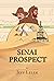Sinai Prospect by Jeff Lelek