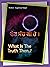 What Is The Truth Then ( Punjabi Book) by Jagdeep Singh