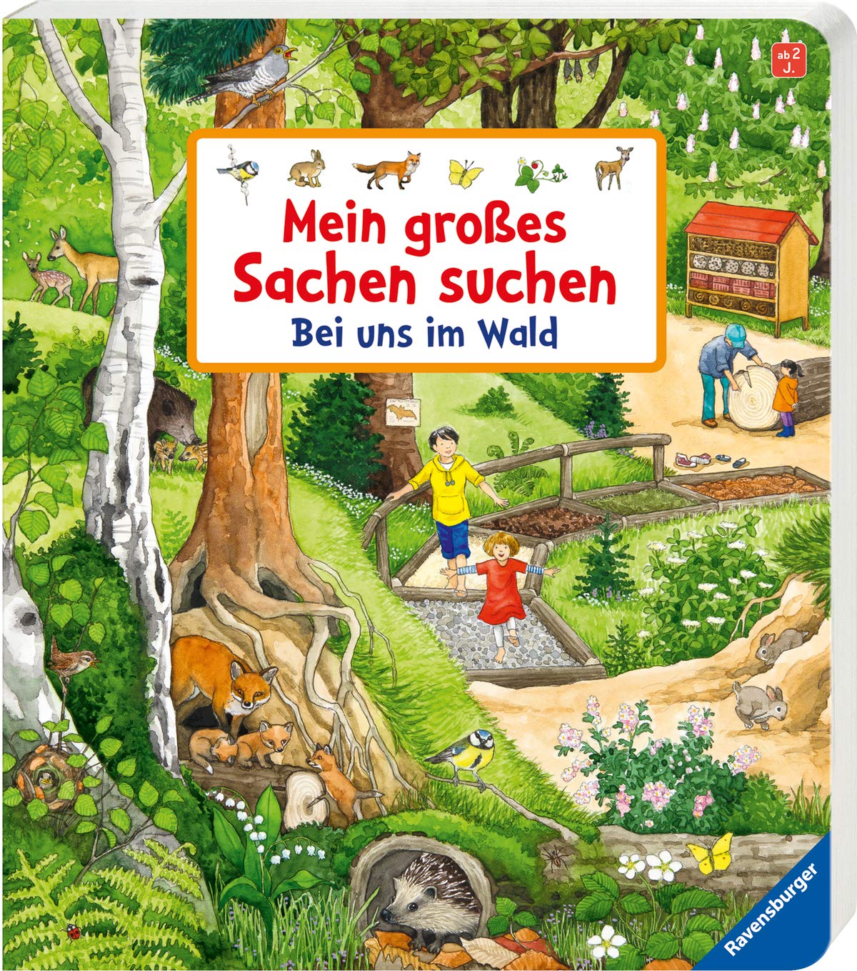 Mein großes Sachen suchen: Bei uns im Wald (Board book)