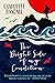 The Bright Side Of My Condition by Charlotte Randall