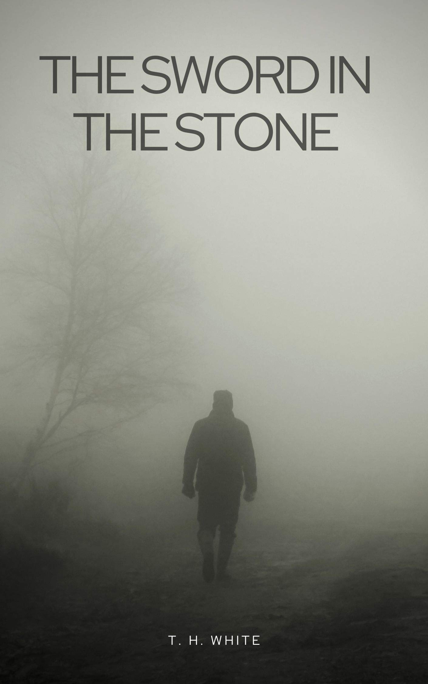 THE SWORD IN THE STONE