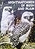 Nightwatchmen of Bush and Plain : Australian Owls and Owl-like Birds