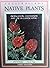 Australian Native Plants: A Manual for Their Propagation, Cultivation and Use in Landscaping