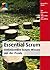 Essential Scrum: Umfassendes Scrum-Wissen aus der Praxis