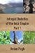 Intrepid Dudettes of the Inca Empire Part 1 by Helen Pugh
