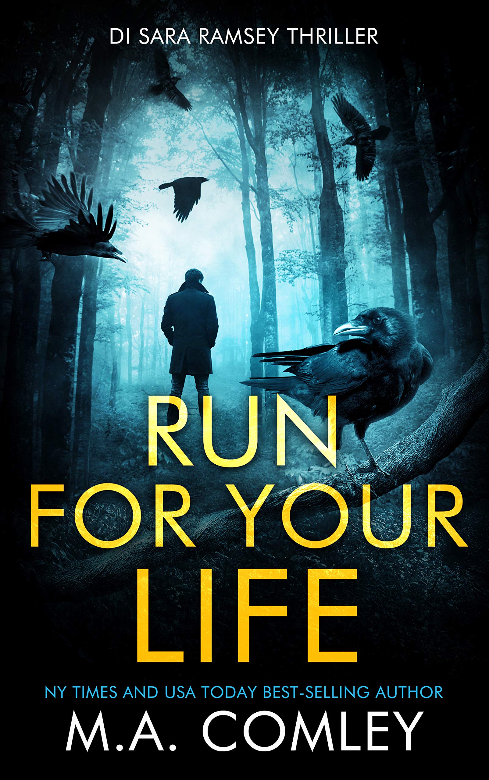 Run For Your Life (DI Sara Ramsey, #9)