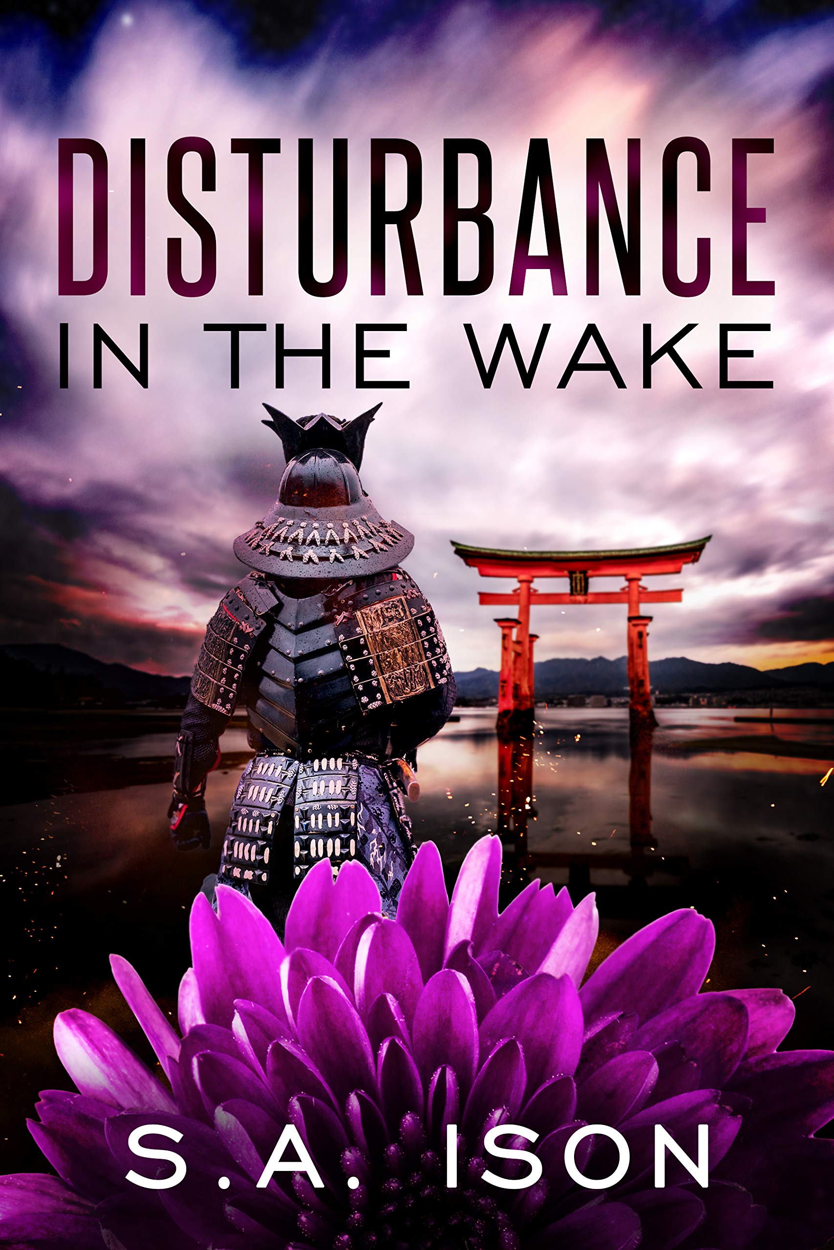 Disturbance in the Wake (Kindle Edition)