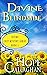 Divine Blindside (Divine Christian Cozy Mysteries #3)