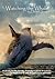 Watching the Whale