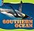 Southern Ocean