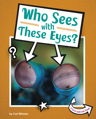 Who Sees With These Eyes? (Whose Is This?)