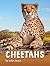 Cheetahs (Animals)