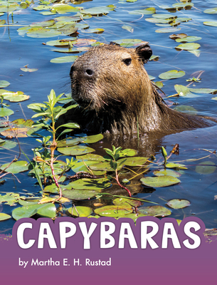 Capybaras (Animals)
