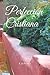 Perfeccion Cristiana (Spanish Edition)