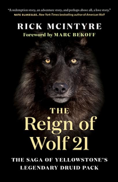 The Reign of Wolf 21: The Saga of Yellowstone’s Legendary Druid Pack