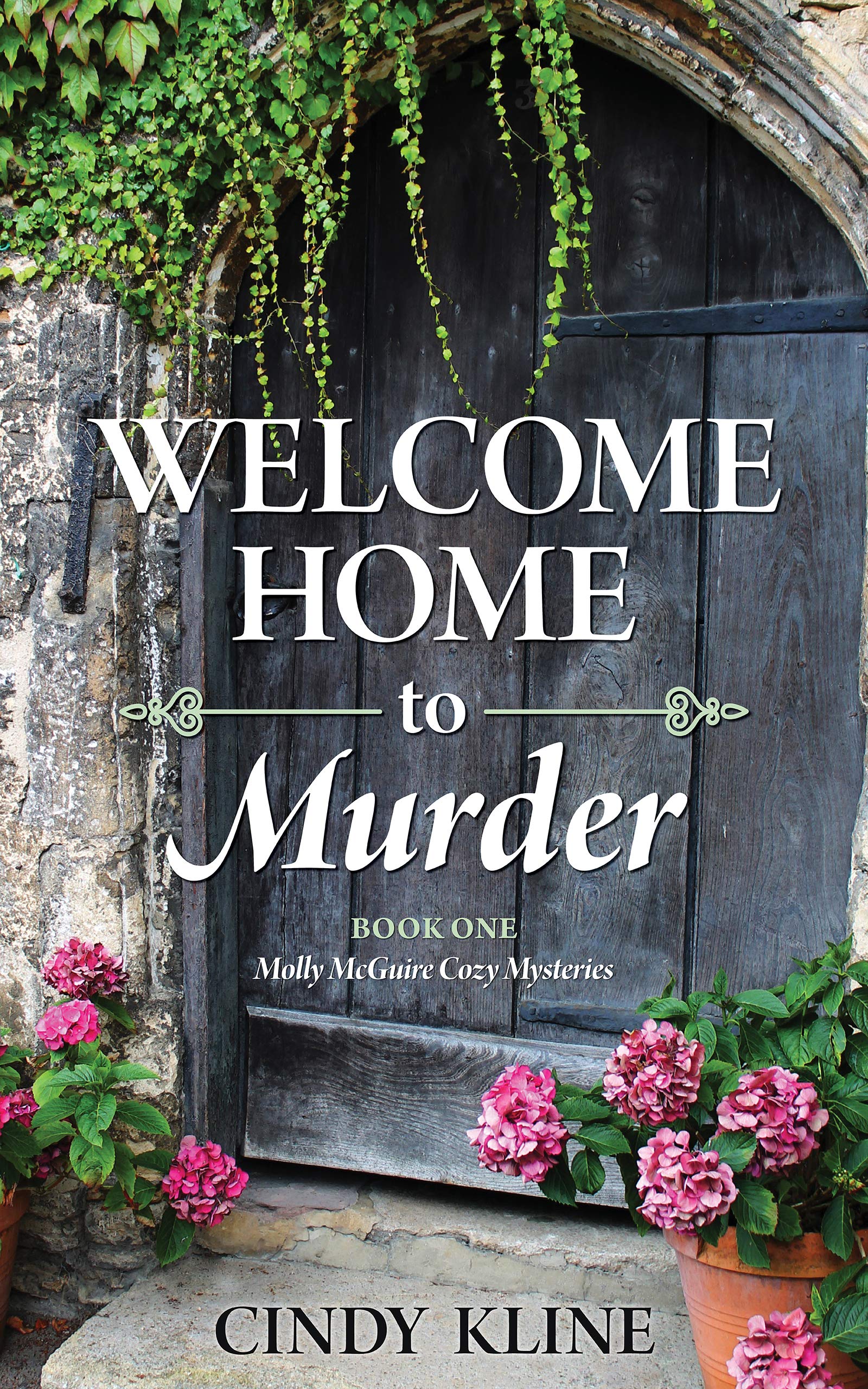 Welcome Home to Murder (Molly McGuire Cozy Mysteries, #1)