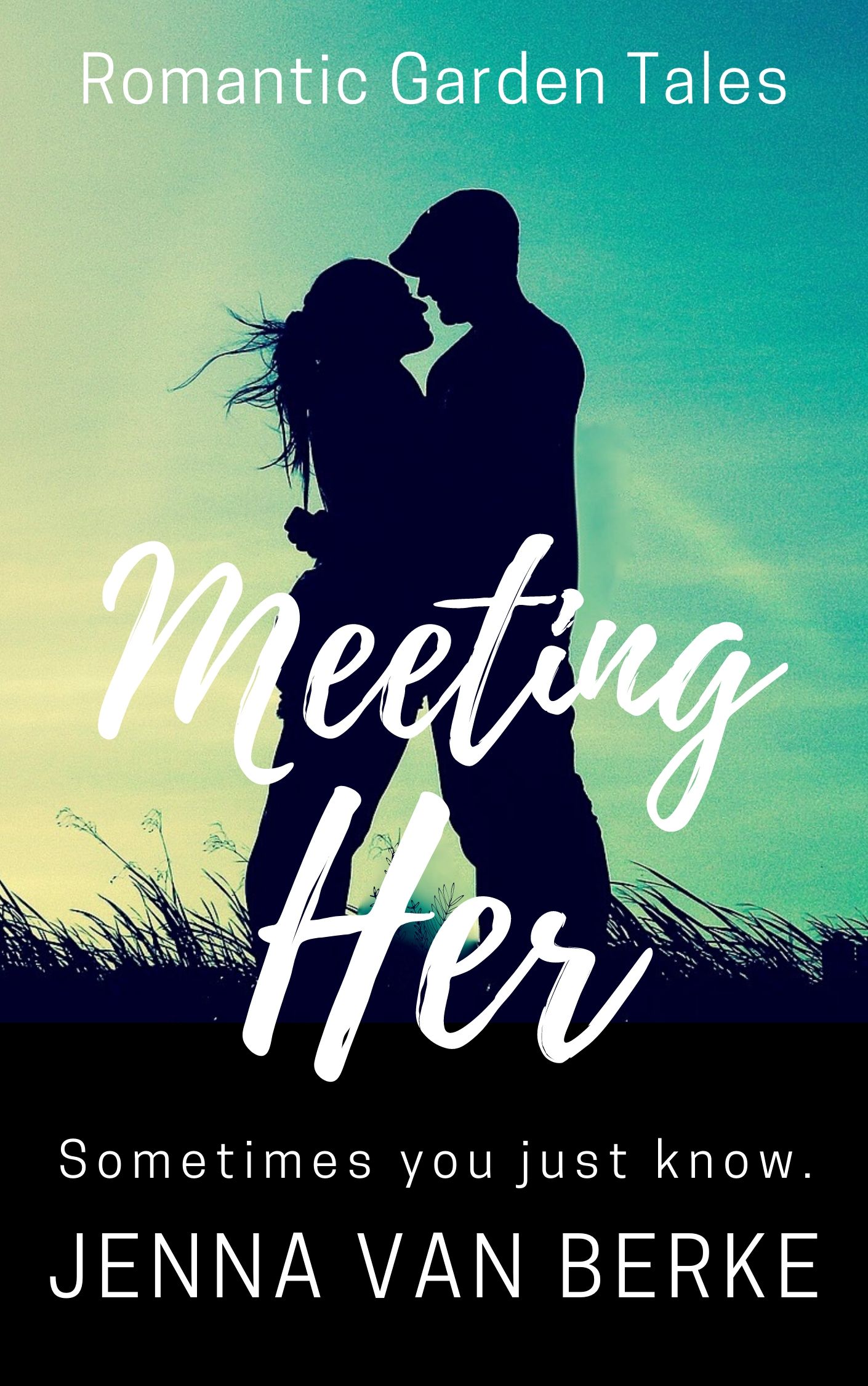 Meeting Her (Kindle Edition)