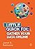 Gather Your Data Online: Little Quick Fix