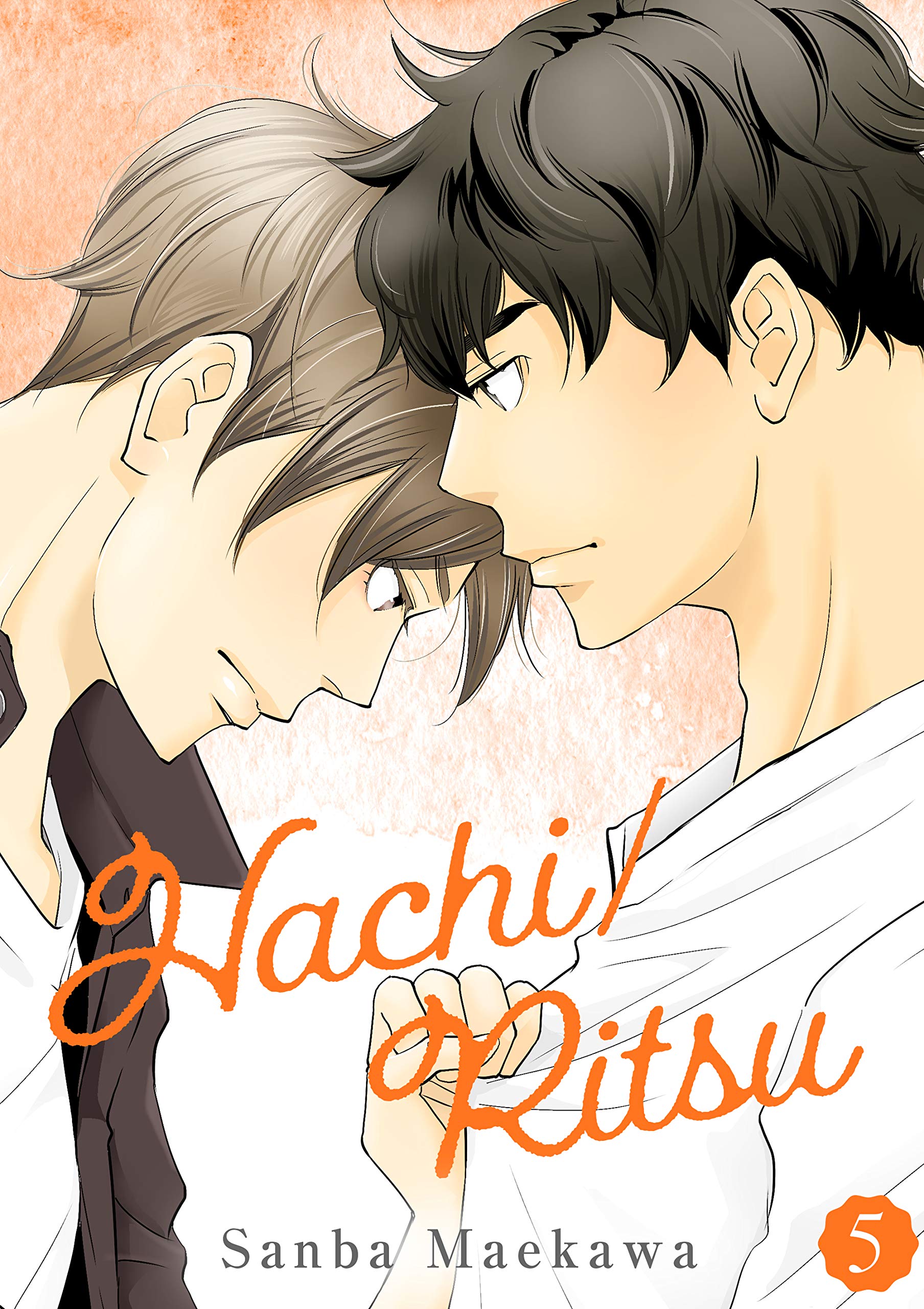 Hachi/Ritsu 5 (Yaoi Manga)