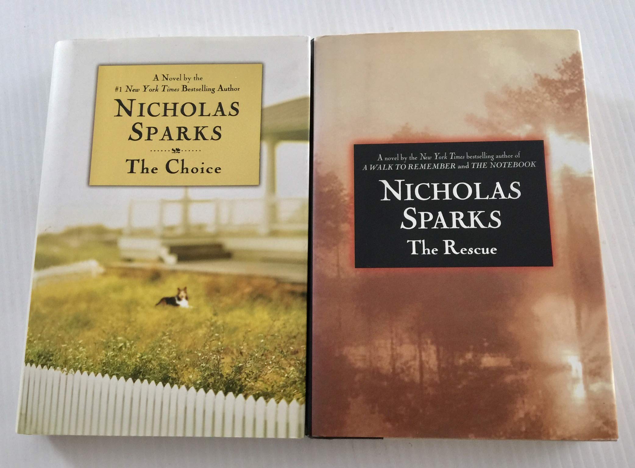 The Choice / The Rescue (Hardcover)