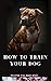 HOW TO TRAIN YOUR DOG: The ...