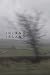 Inland Island