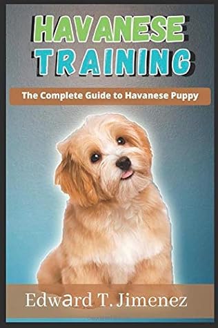 havanese puppy care