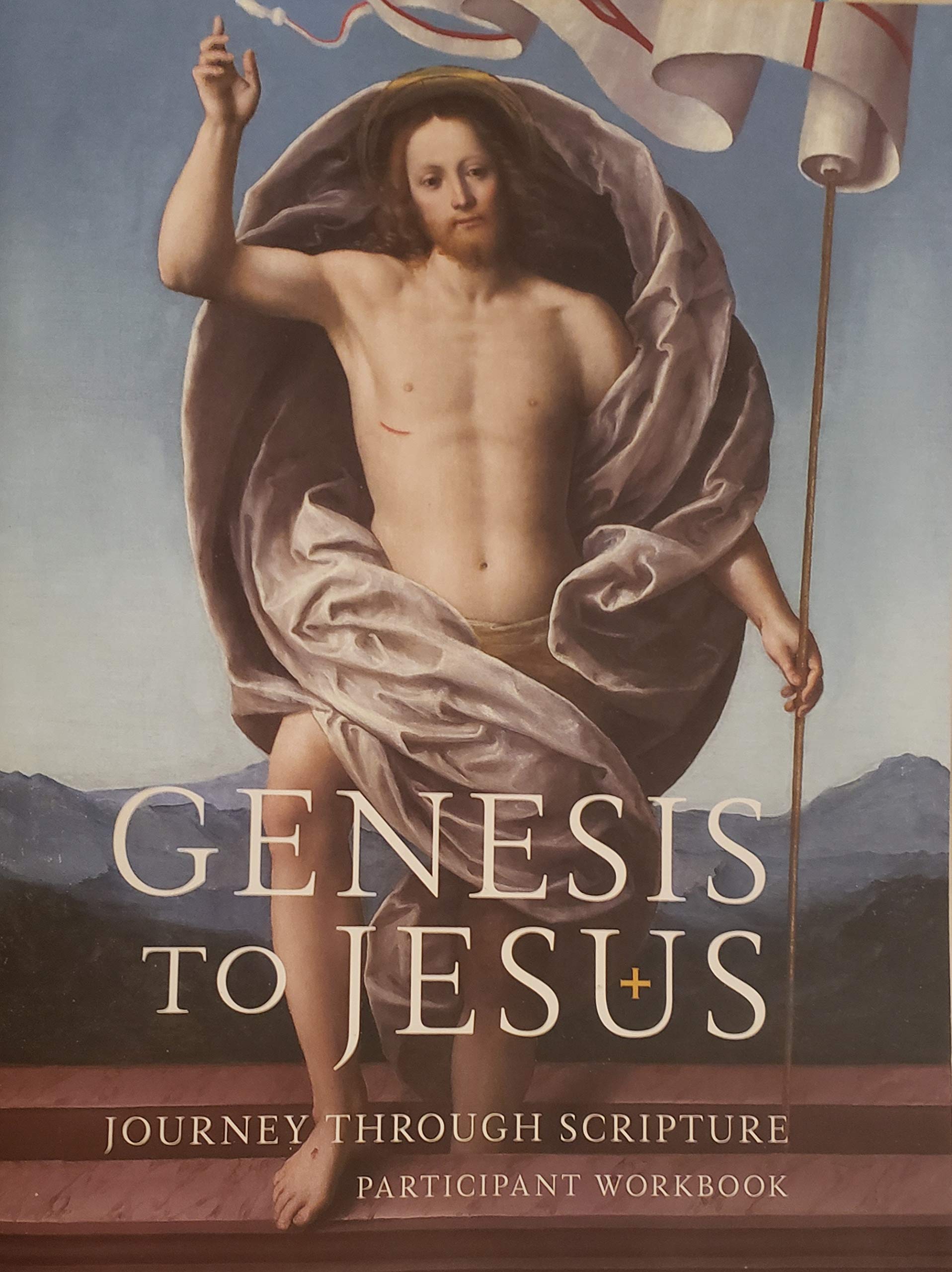 Genesis To Jesus: Journey Through Scripture Participant Workbook (Paperback)