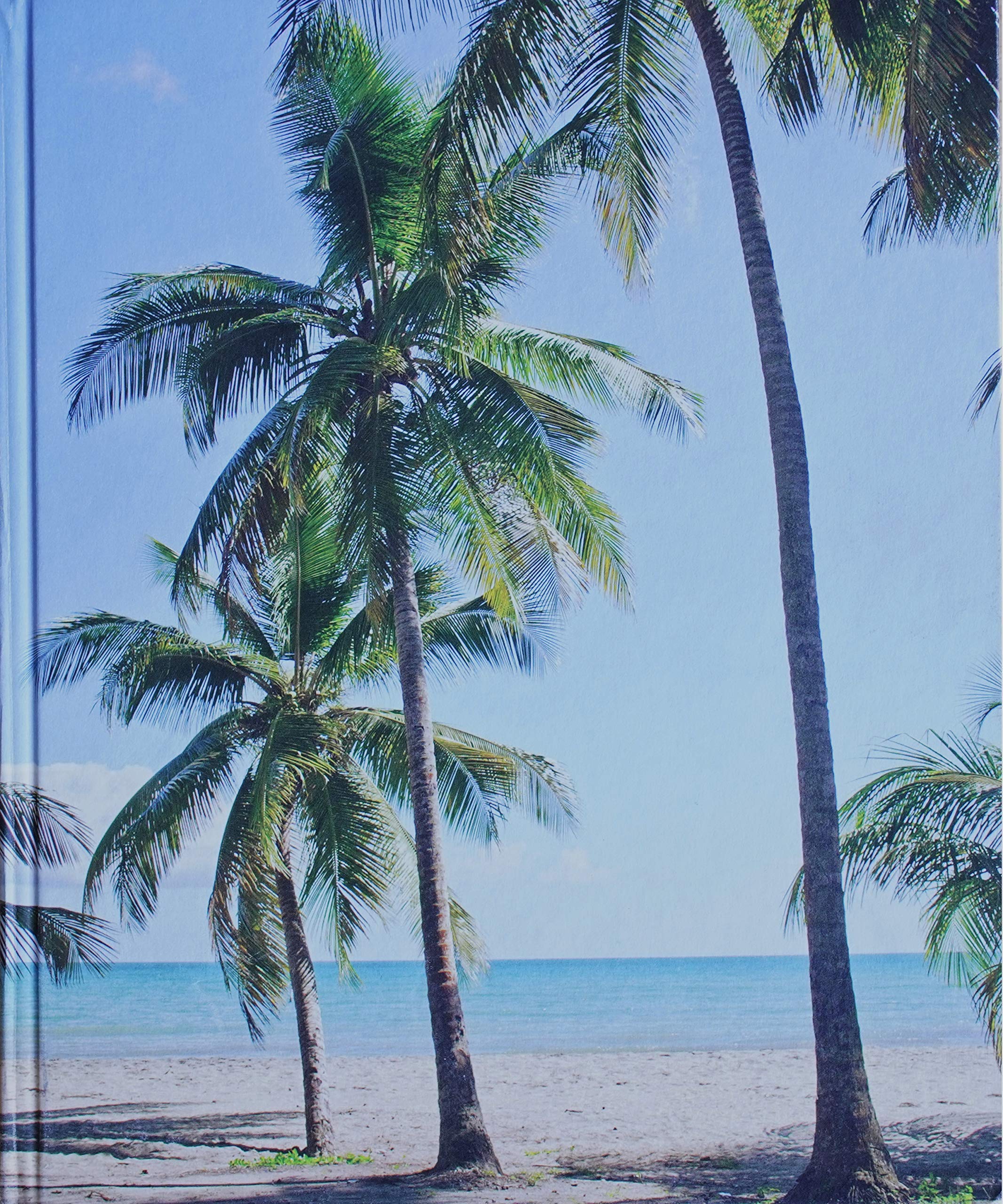 The Dining Traveler Guide to Puerto Rico (Hardcover)