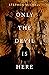 Only the Devil is Here by Stephen Michell