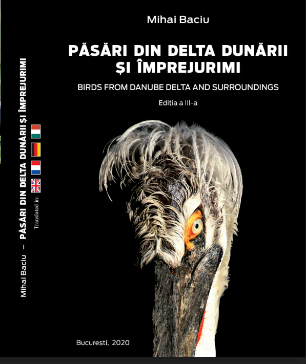Păsări din Delta Dunării și împrejurimi / Birds from Danube Delta and surroundings