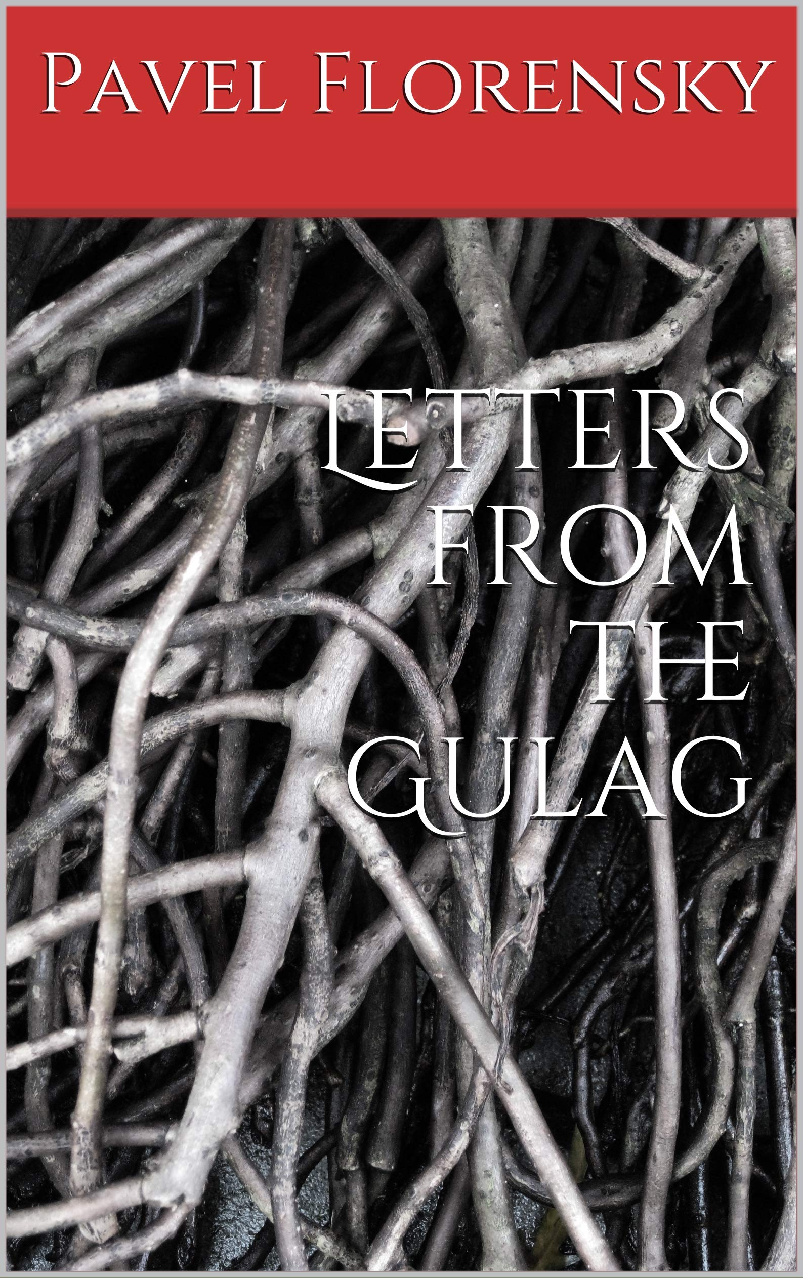 Letters from the Gulag (Kindle Edition)