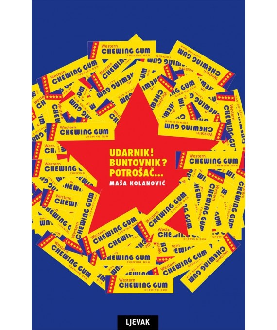 Udarnik! Buntovnik? Potrošač...: Popularna kultura i hrvatski roman od socijalizma do tranzicije